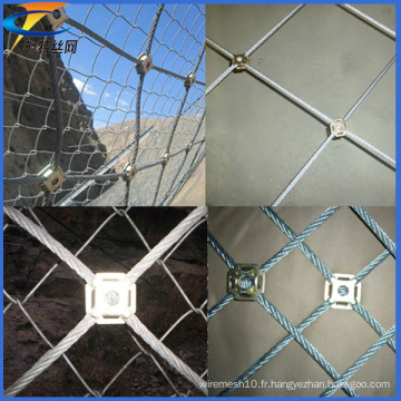 Pour Mountain Flexible Mesh (usine professionnelle de Chine anping)